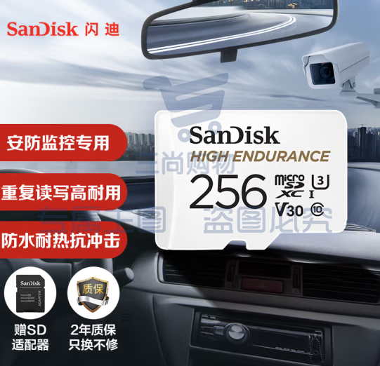 闪迪（SanDisk）256GB TF（MicroSD）存储卡读速100MB/S 安防监控专用内存卡行车记录仪  高度耐用 监控