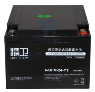 科华精卫蓄电池6-GFM-24YT铅酸免维护UPS电源专用12V24AH电池