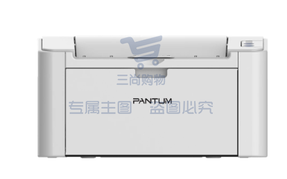 奔图(PANTUM) 黑白激光打印机 P2518NW单打印、钉钉远程打印、WIFI、网线 官方标配