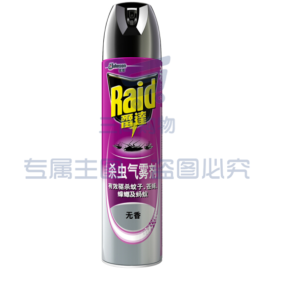 雷达(RAID) 600ml 无香喷雾杀虫剂 24瓶/箱