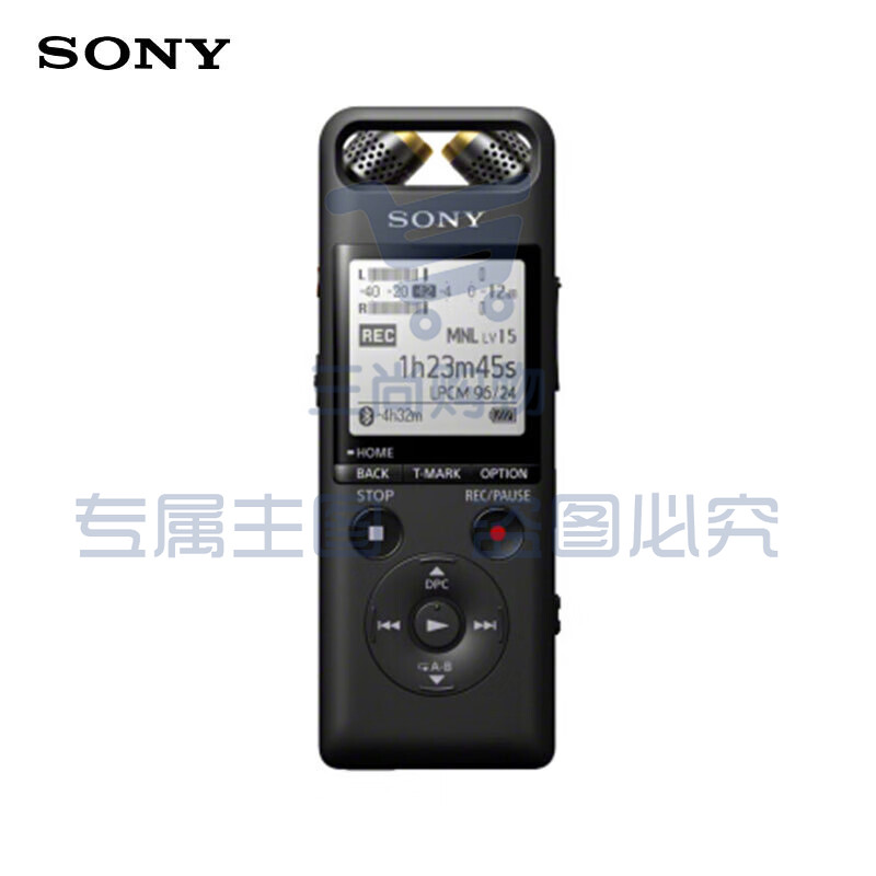 索尼（SONY）PCM-A10 数码录音笔 高清专业降噪 蓝牙操控 无损音乐播放 乐器学习商务采访 16GB 黑色 SKU：YDKJ09628