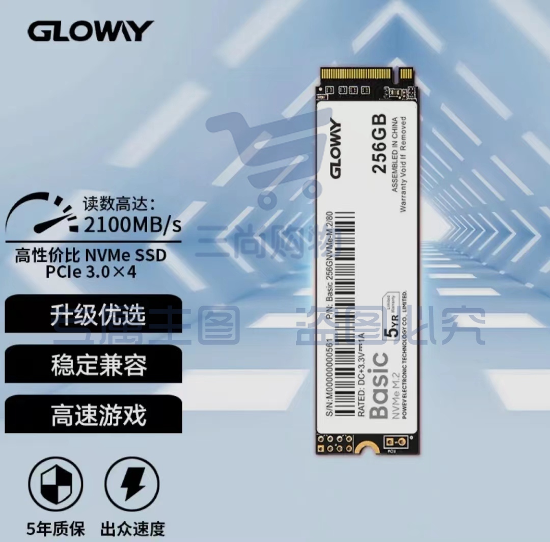 光威 256GB SSD固态硬盘 M.2接口(NVMe协议) Basic-基础版 TLC颗粒