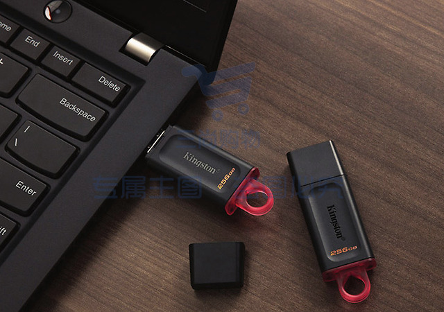 金士顿(Kingston)256GB USB3.2 Gen 1 U盘 DTX 大容量U盘 时尚设计 轻巧便携 SKU：TK15172