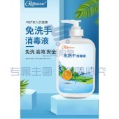 瑞普安 免洗洗手液 500ml 单位：瓶