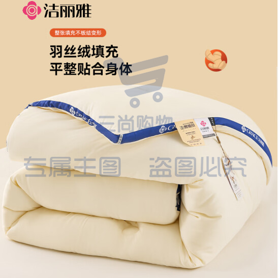洁丽雅（Grace）被子秋 冬保暖加厚生姜纤维被冬被 150*200cm  4.2公斤 货号：JC