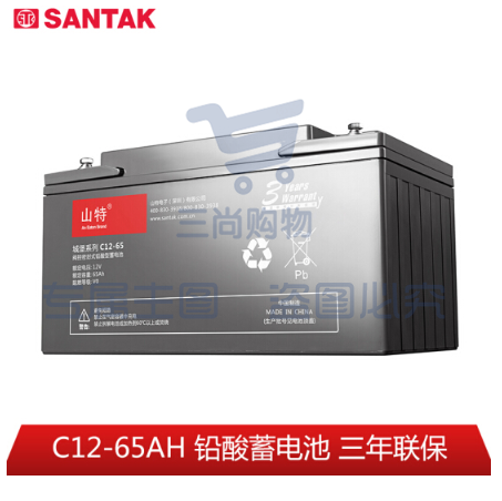 山特（SANTAK）C12-65AH 山特UPS电源电池免维护铅酸蓄电池 12V65AH