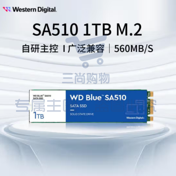 西部数据（WD) 1TB 笔记本台式机电脑 SSD固态硬盘 SA510 SATA M.2接口 Blue系列 3D技术  WDS100T3B0B  pcyg-230625184148