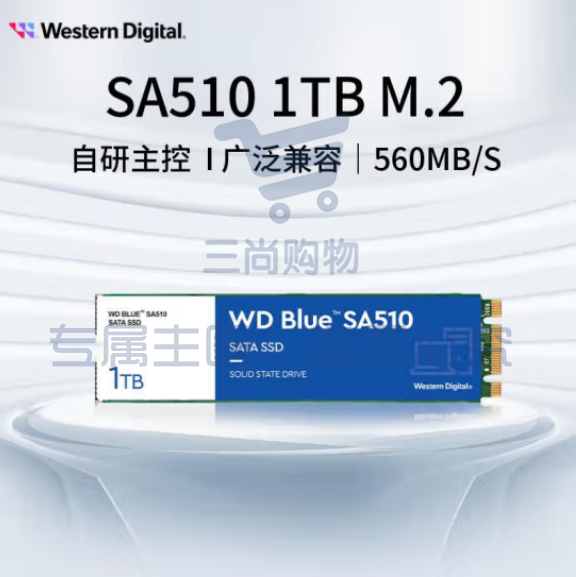 西部数据（WD) 1TB 笔记本台式机电脑 SSD固态硬盘 SA510 SATA M.2接口 Blue系列 3D技术  WDS100T3B0B  pcyg-230625184148 SKU：TK17640