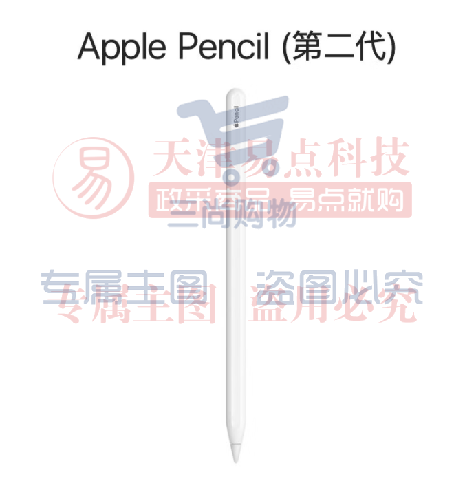 Apple Pencil (第二代) 适用于 2022/2021款12.9 英寸和11英寸iPad Pro/2022款10.9英寸iPad Air（可当天配送发货）