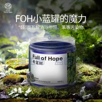 FULL OF HOPE 3罐装 除甲醛果冻除醛剂(单位组)