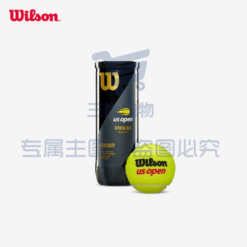 Wilson威尔胜美网比赛训练网球塑罐3粒WRT106200