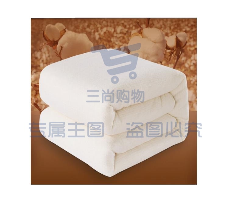 朵馨  厚款丝绵被芯