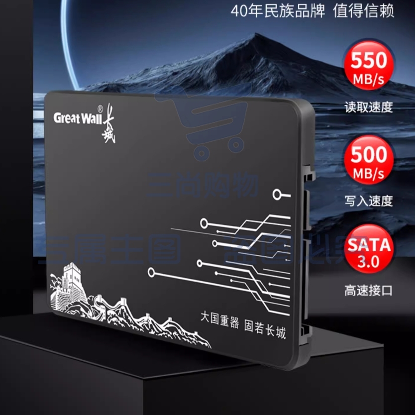 长城（Great Wall）GW600 SSD固态硬盘2.5寸SATA接口台式机笔记本硬盘大容量电脑硬盘老电脑升级扩容 读速高达530MB/s 256GB