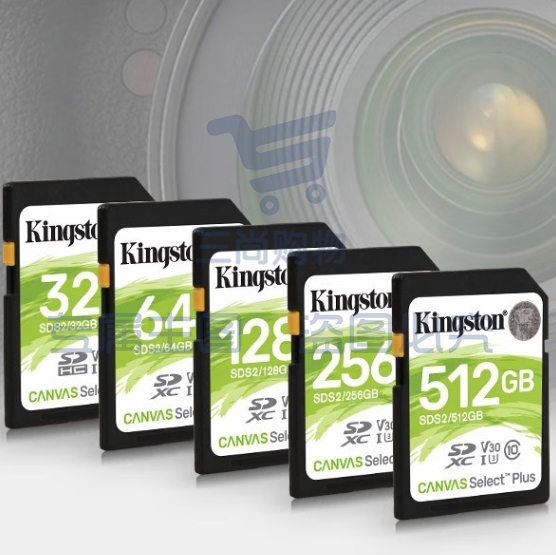 金士顿（Kingston）64GB SD存储卡 U1 V10 相机内存卡 sd卡大卡储存卡 支持4K 读速100MB/s内存卡