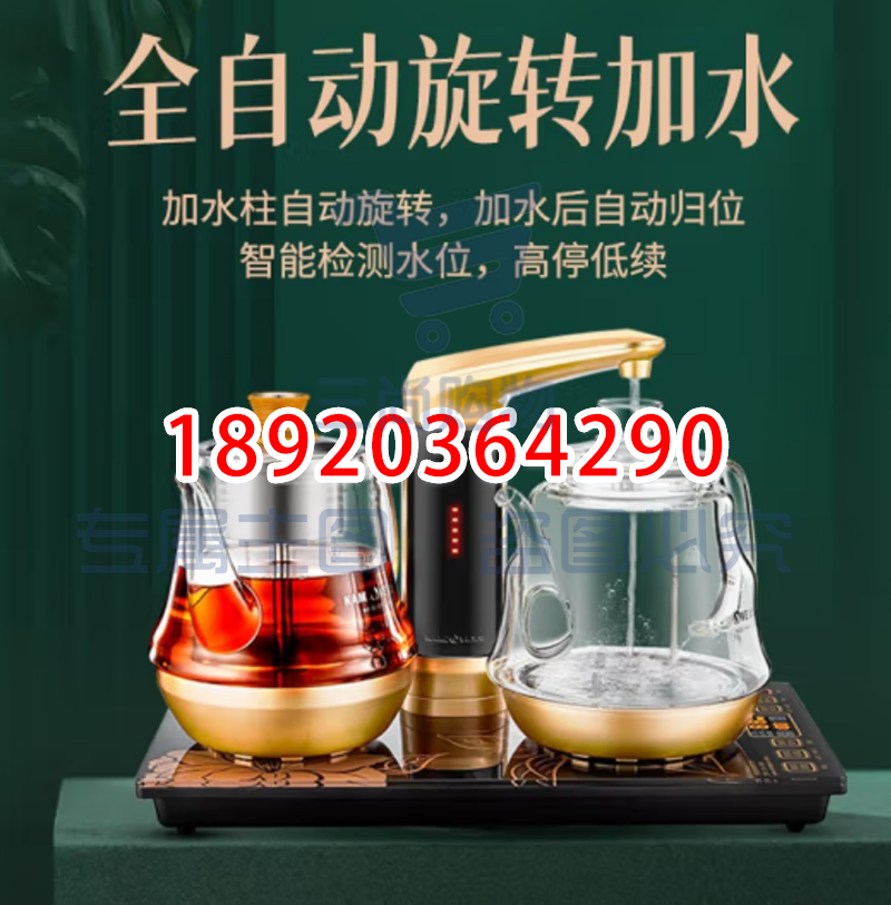 金灶(KAMJOVE)全自动上水电热水壶 烧水壶 恒温电茶炉抽水烧水茶具煮茶器 喷淋式 GA-909