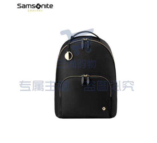 新秀丽(Samsonite)电脑包双肩包13英寸背包女书包 商务通勤旅行包休闲时尚 NO3 黑色