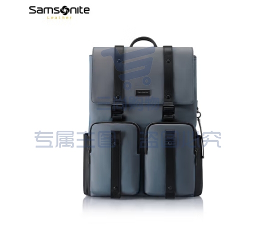 新秀丽（Samsonite）时尚百搭多场景适用双肩包15.6英寸通勤电脑包旅行包TM7*01011