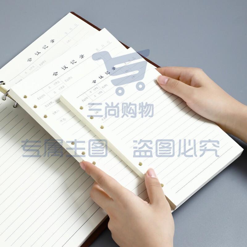 活页替芯笔记本子适用6孔A5活页纸内芯 A5-会议记录内芯