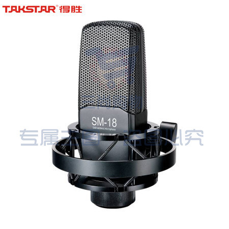得胜(TAKSTAR) SM18电容麦克风主播K歌专业录音话筒手机电脑通用声卡套装直播设备 SM-18电容麦