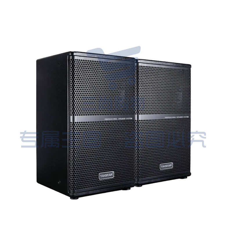 得胜(TAKSTAR)EKS-108全频音箱(对) 适用于多功能厅会议厅的主扩声或补声KTV工程安装 全频音响 DBDZ款