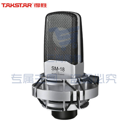 得胜(TAKSTAR) SM-18 EL麦克风K歌直播设备专业录音唱歌话筒手机电脑通用