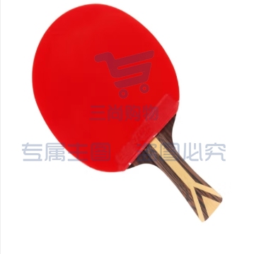 红双喜DHS狂飚九星乒乓球拍横拍专业比赛黑檀芳碳攻防H9002