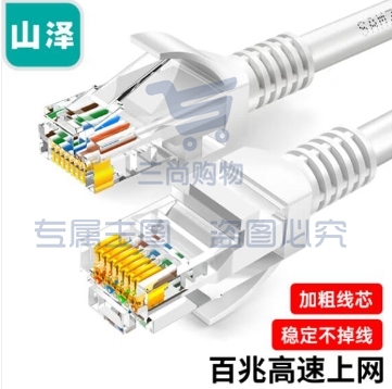 山泽（SAMZHE）ZW-10 超五类网线 CAT5e类高速千兆网线 10米 工程/宽带电脑家用连接跳线 成品网线 贝吉色