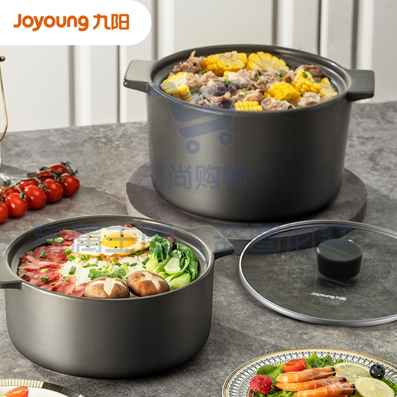 九阳(Joyoung) 砂锅陶瓷煲 汤锅炖锅煲仔饭熬药家用陶瓷锅 TCB3503 (