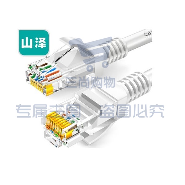 山泽(SAMZHE)ZW-02 超五类网线 CAT5e类高速百兆网线 2米 贝吉色 (