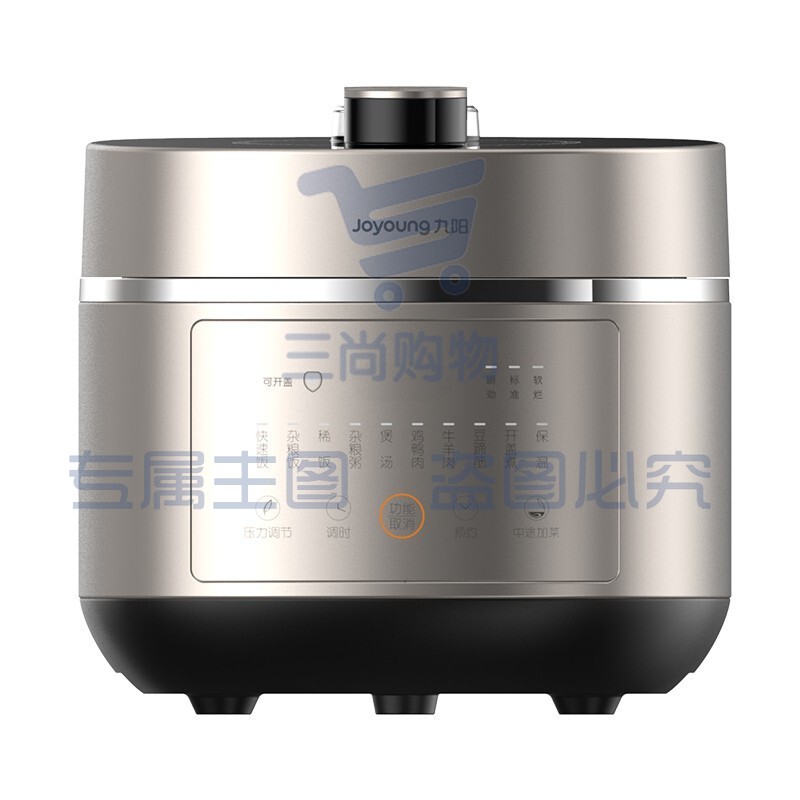 九阳 (Joyoung) Y-60IHS9 电压力锅6L (