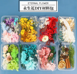 天然干花永生花假花仿真花儿童手工diy团扇材料包